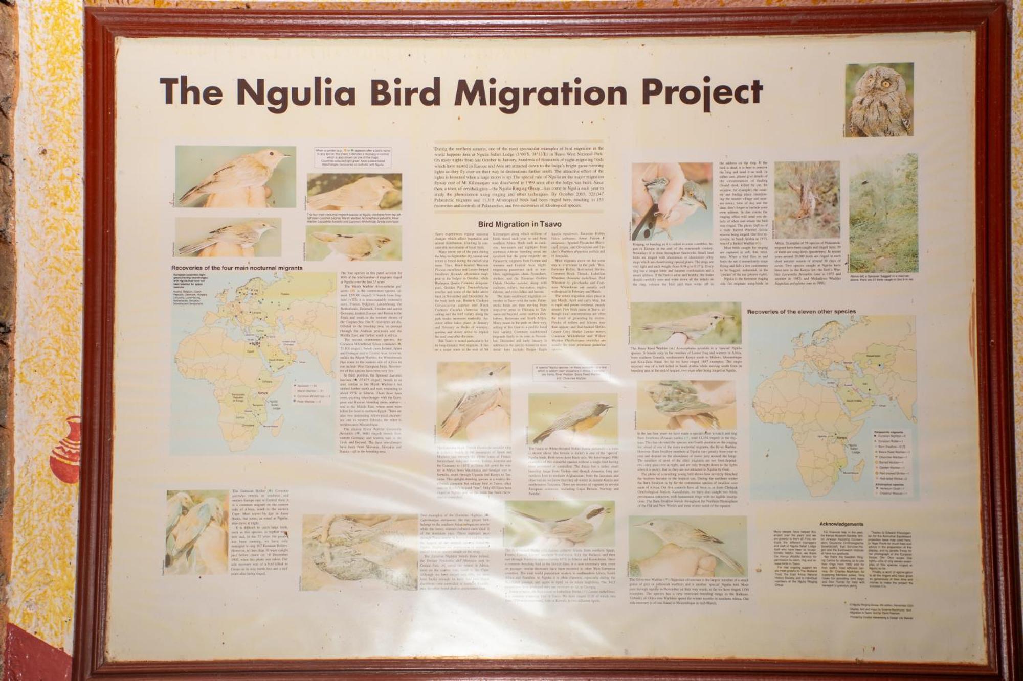 Ngulia Safari Lodge Ithumba 外观 照片