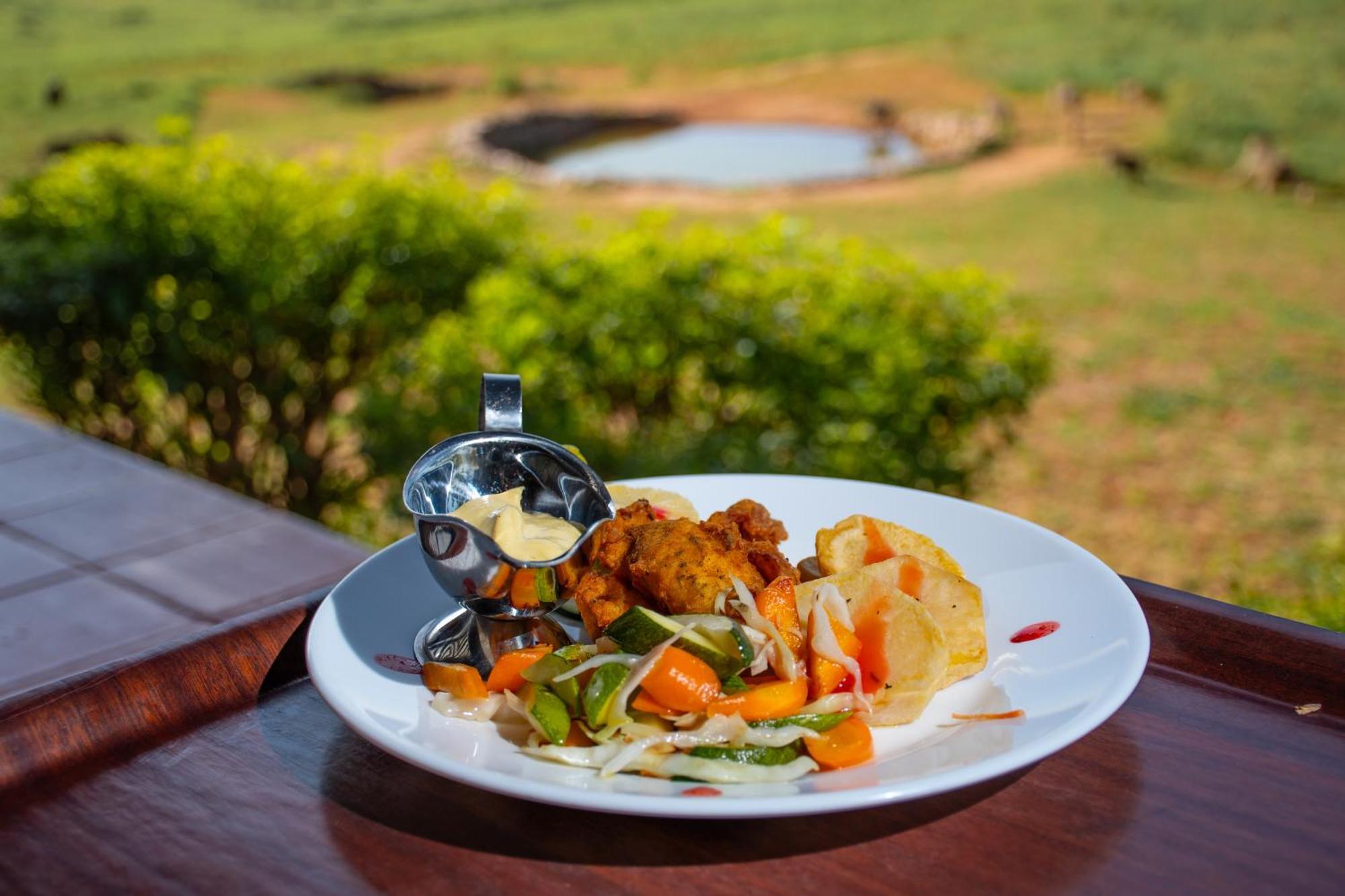 Ngulia Safari Lodge Ithumba 外观 照片
