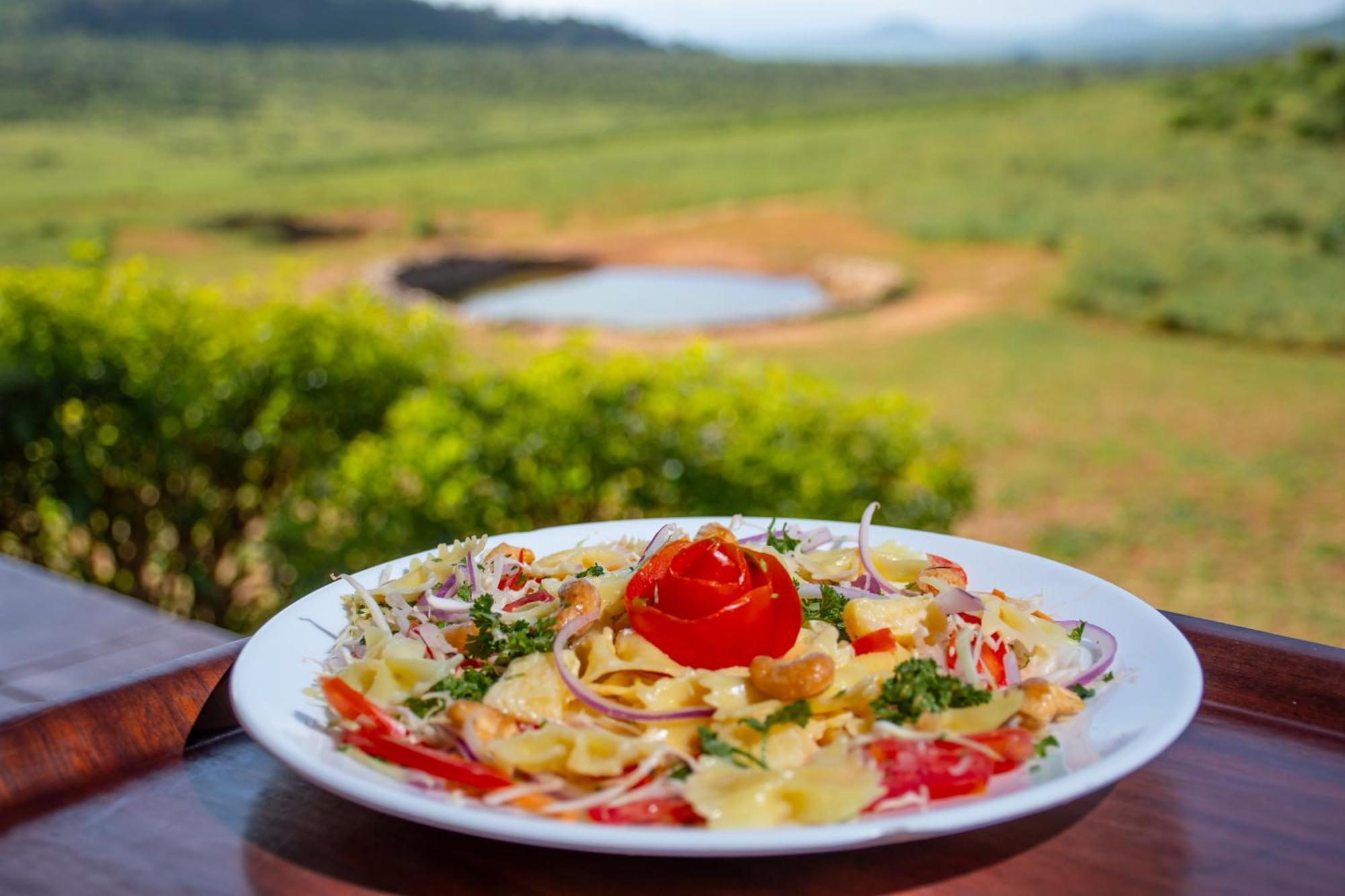 Ngulia Safari Lodge Ithumba 外观 照片